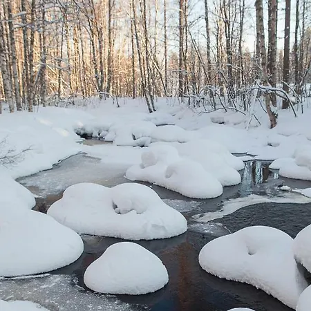 Rovaniemi Вилла *