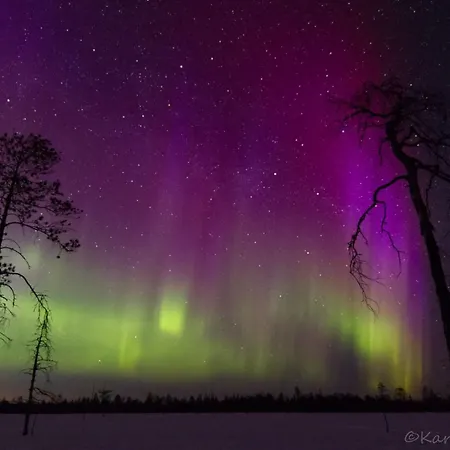 Rovaniemi