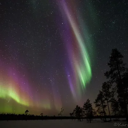 Rovaniemi * Apukka